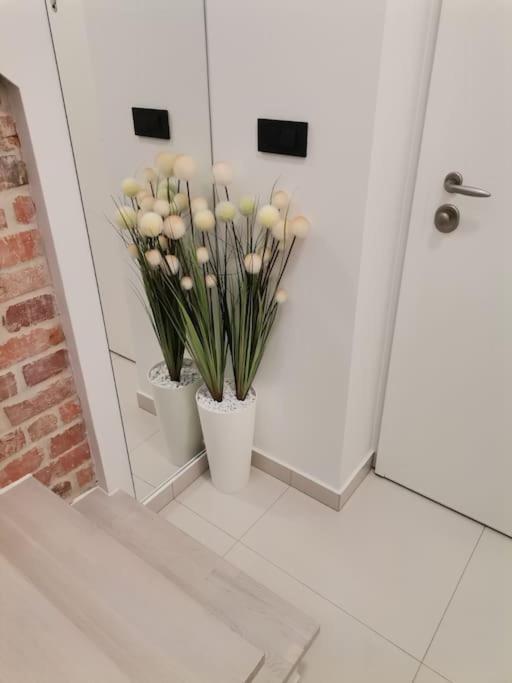 Studio Apartman Lenox Rijeka Eksteriør billede
